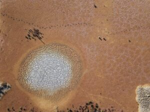 Exploring Common Liver Diseases Hepatitis, Fatty Liver, and Cirrhosis Compared