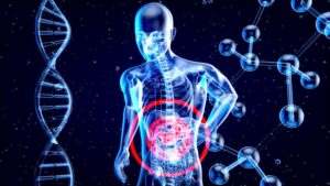 How Exercise Improves Liver Enzyme Levels and Reduces Fat Accumulation