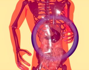 How Liver Transplants Work and What Recovery Looks Like for Most Patients