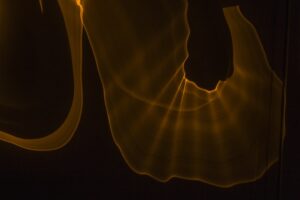 The Role of the Liver in Managing Blood Sugar and Insulin Resistance