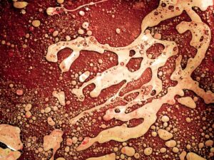 The Science Behind Liver Regeneration and Its Unique Healing Capabilities