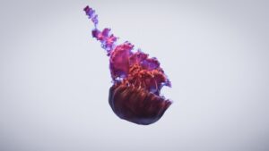 What You Need to Know About Liver Cancer Risks and Early Detection