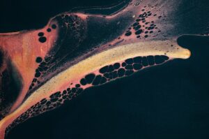 Why the Liver Is a Silent Organ Until Advanced Damage Has Already Occurred